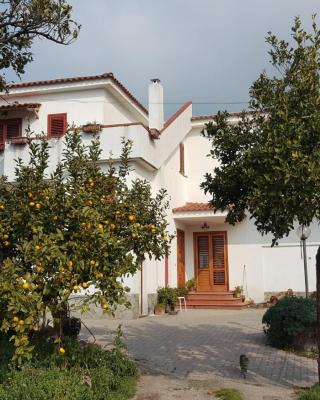 VILLA ELENA