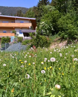 Holiday Home Zillertal - Haus Gigl