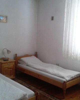 Tsvetkovi Guest House