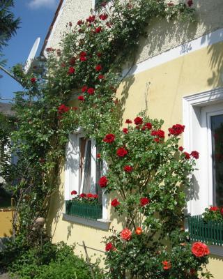 Pension Arkadenhof