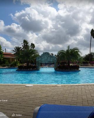 Droomstudio seru coral 32