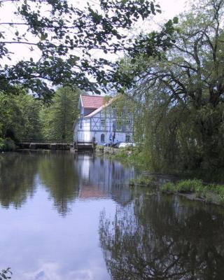 Mühlenteich in der Oldenstädter Wassermühle