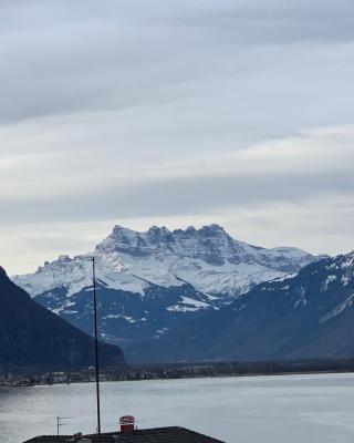 TOP Montreux Centre 2-8 p., view lake and Chillon Castle