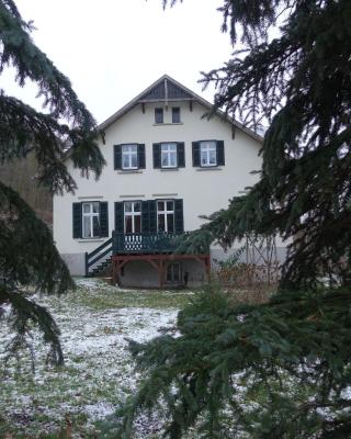 Pension Gräfliche Villa