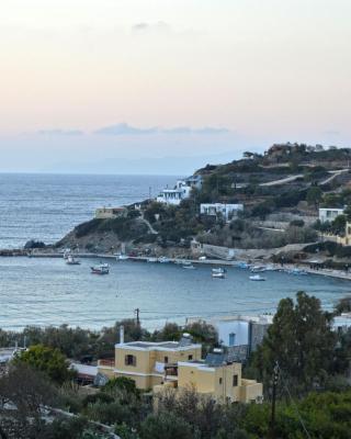 ΒΕΝ ΚΙΝΙ