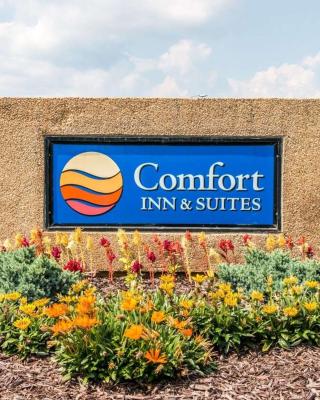 Comfort Inn & Suites and Conference Center