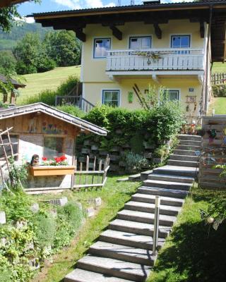 Ferienhaus Niedernsill