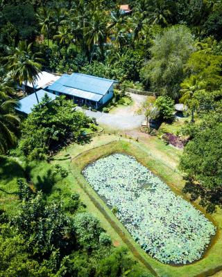 Avian Garden Udawalawe