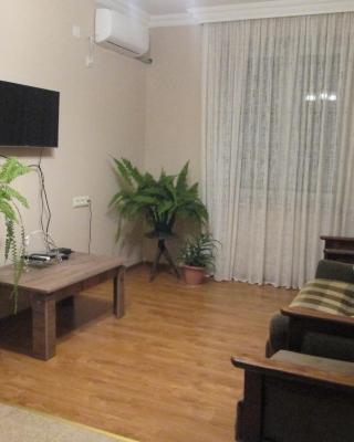 Apartment Mandarina