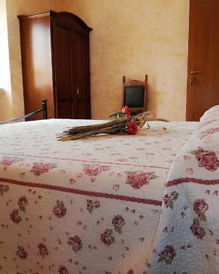 B&B Pivi