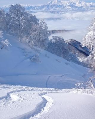 Nozawa Dream Central