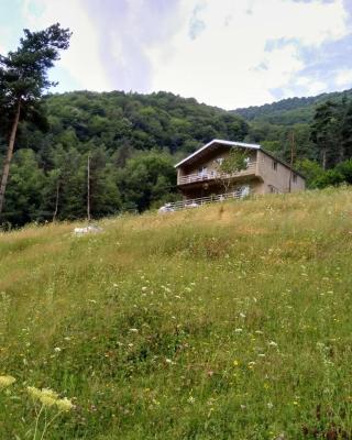 Guesthouse Gama in Khevsureti