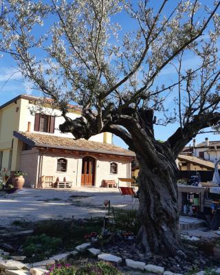 Il Focolare B&B