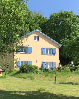 La Mésange bleue