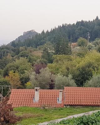 Luxury House In The Hills