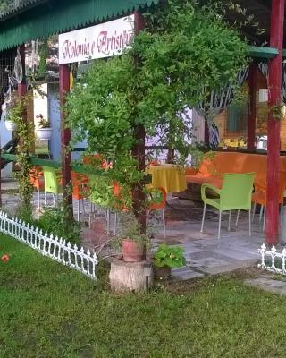 kolonia e artistave