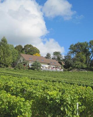 Domaine Beauregard