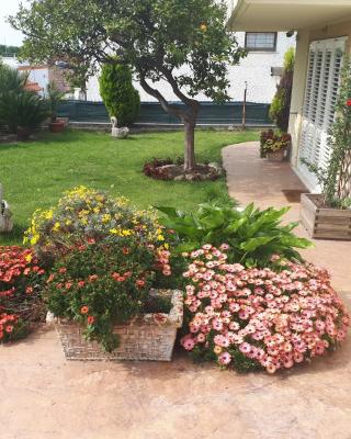 Bed and Breakfast Angolo Fiorito