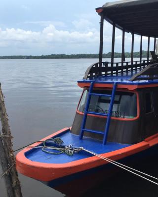 Orangutan Houseboat Park Tanjung Puting