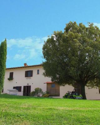 Spacious Farmhouse in Pienza with Swimming Pool