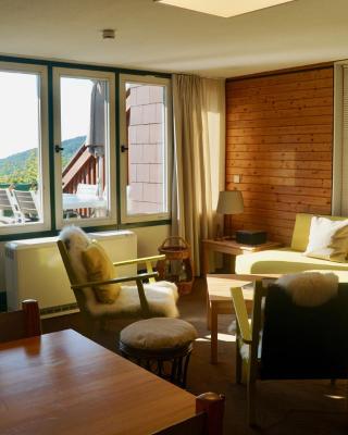 Schwarzwald-Ferienwohnung mit Panorama und Pool