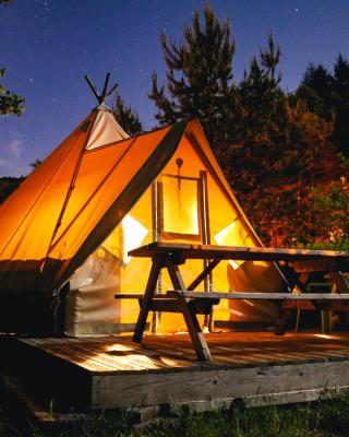 Camping Le Canada-Insolite