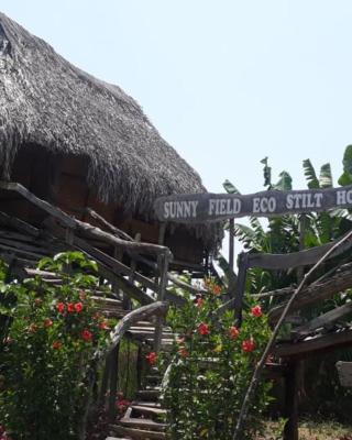 Sunny Field Eco Stilt House