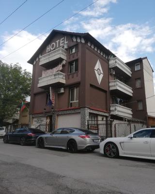 Hotel Chamishki