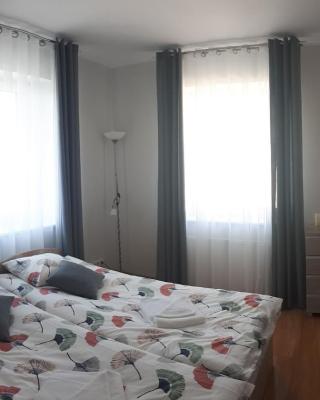 APARTAMENTY ORLE