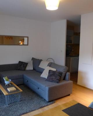 Confortable appartement T2 cabine Loudenvielle