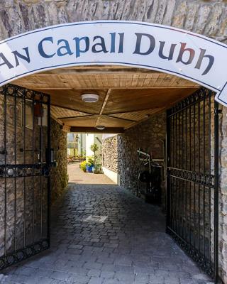 Dingle Centre Townhouse An Capall Dubh Dingle