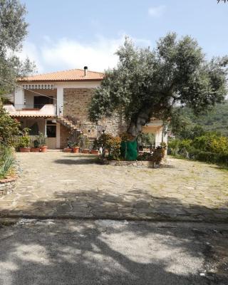 IL CONTE DI MARRAONE