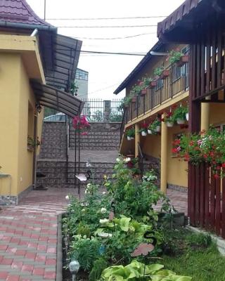 Casa dina