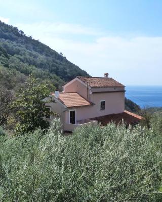 Casa Puccini B&B Maratea