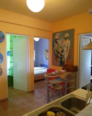 House of colors