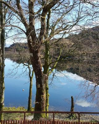 Number 4, Loch Shiel View