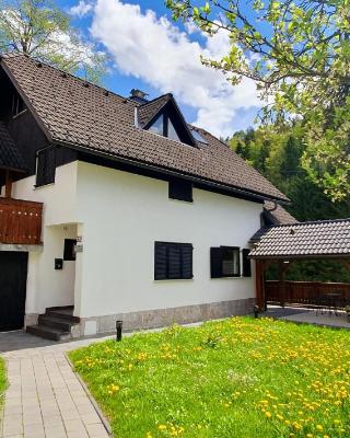 Apartment Alpska Astra