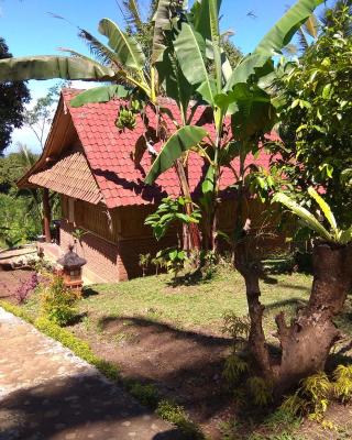 Bali mountain forest cabin