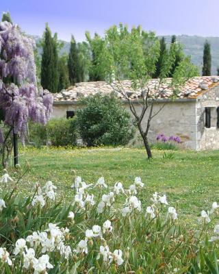 Vignagrande Agriturismo