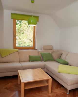Apartment Polane