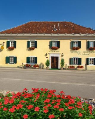 Guesthouse Avsenik