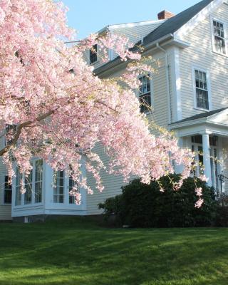 The Beech Tree B&B