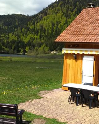 Chalet pour amoureux de la nature avec vue sur le lac de Retournemer