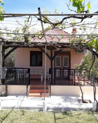 Olympian Garden Home