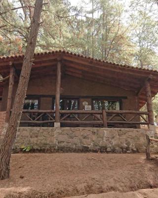 Cabañas Tapalpa Sierra del Tecuan, Cabaña Venado