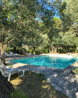 La Picholine en Provence
