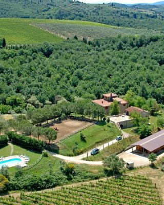 Farmhouse B&B Il Paretaio