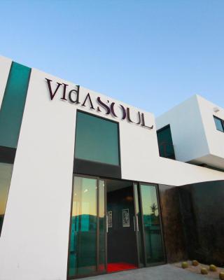 Vidasoul