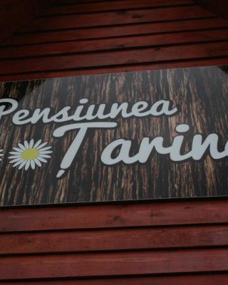 Pensiunea Tarina