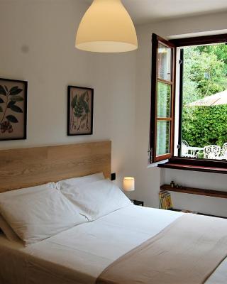 Green Corner Gelsomino